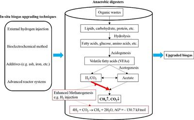 A Mini-Review on In situ Biogas Upgrading Technologies via Enhanced Hydrogenotrophic Methanogenesis to Improve the Quality of Biogas From Anaerobic Digesters